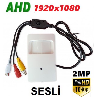 Ahd Pır Gizli Kamera 2 MP 1080p Sesli 